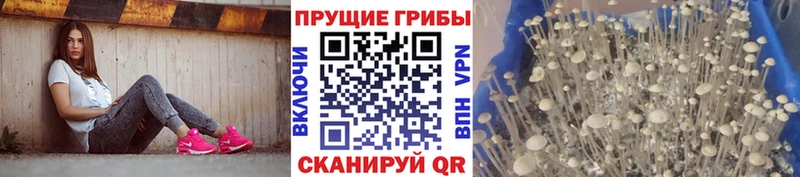 Галлюциногенные грибы мухоморы  Кондопога 
