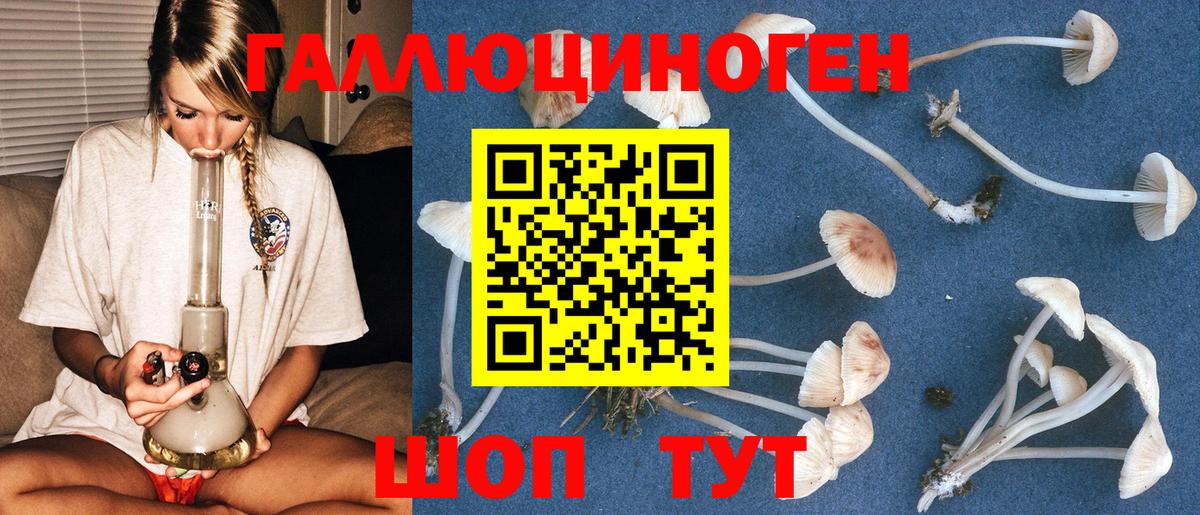 Псилоцибиновые грибы мицелий Кондопога