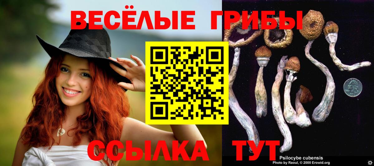 Псилоцибиновые грибы Cubensis  Вход с VPN  Кондопога 